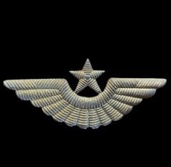 7x3 cm.Sovyet Soğuk Savaş Dönemi Metal Askeri Pilot Kokart