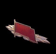 5.5x2 cm. Doğu Alman Muharebe Gruplar Bronz Liyakat Nişanı