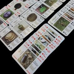 ABD Avrupa Komutanlığı  Askeri Görselli Oyun Kağıtları