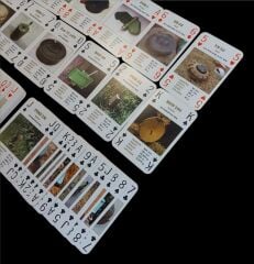 ABD Avrupa Komutanlığı  Askeri Görselli Oyun Kağıtları