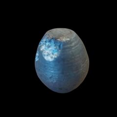 Metal Eğitim Model-4 (İşlevsel Değildir)