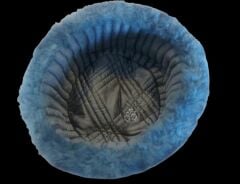 Sovyet Askeri Ushankası Unisex (55 Numara) Sıfır Ürün