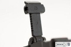 Denix C96,Almanya 1896