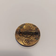 N. Almanyası Rozet Modeli