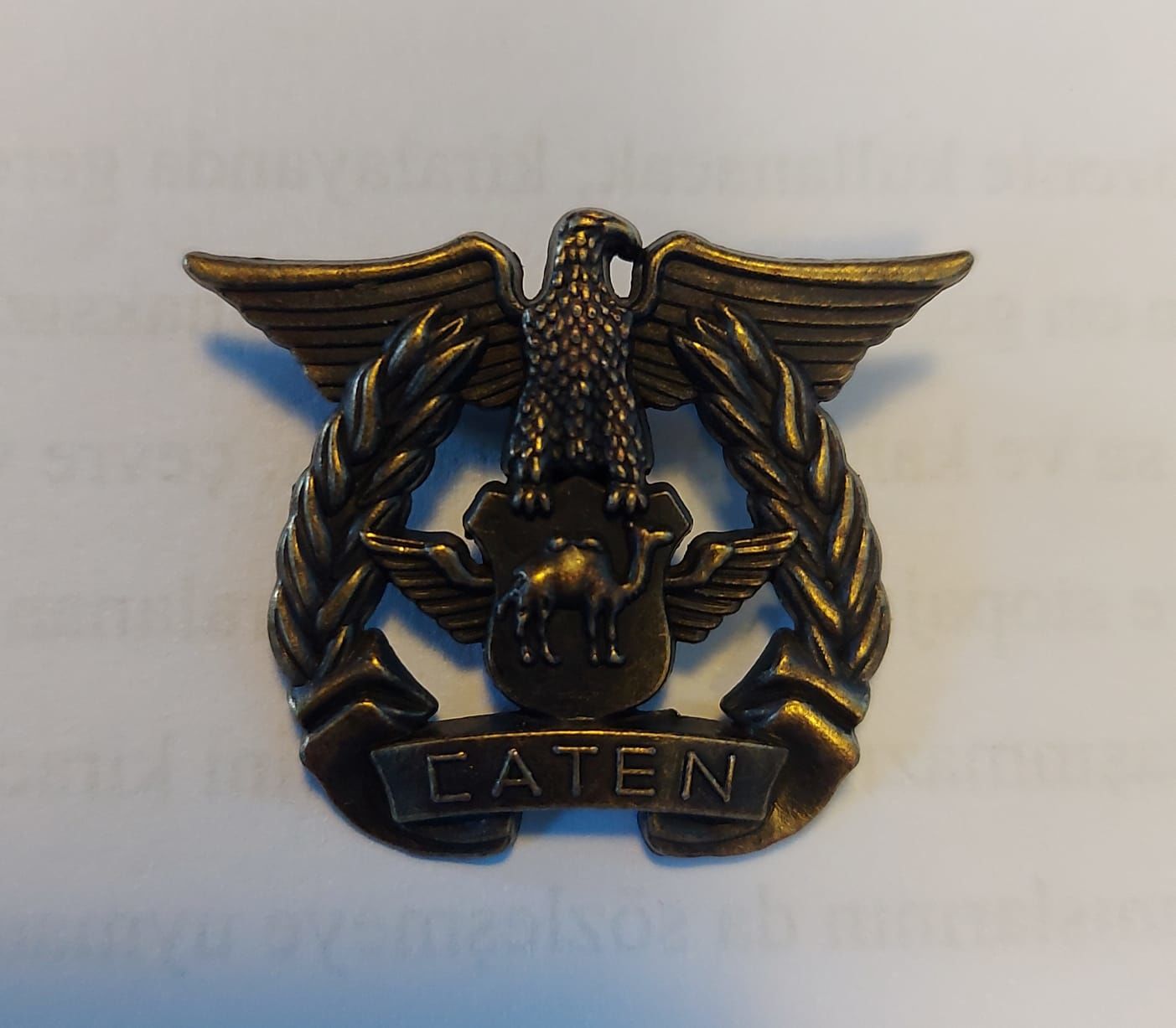 3.5x3 cm. Bronz US Donanma Kartalı Brove