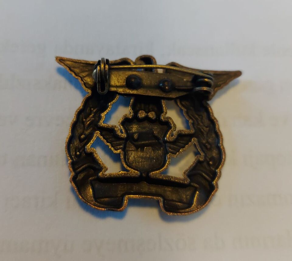 3.5x3 cm. Bronz US Donanma Kartalı Brove