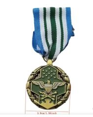 ABD Ortak Hizmet Övgü Madalyası