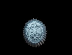 Rusya Federal Gümrük Servisi Metal Kokart (Sıfır Ürün)