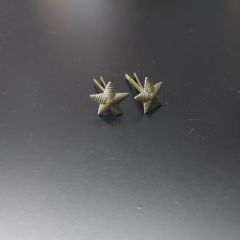 Sovyet Metal Yıldız Rütbe (2 adet Lot)