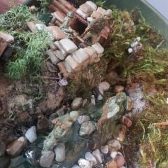 Miğfer Teraryum Modeli-1