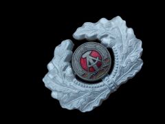 5x7 cm. Doğu Alman (DDR) NVA Subay Metal Şapka Kokart
