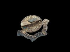 Ww2 Dönemi İngiliz Kızılhaç Derneği Inter Arma Caritas Emaye Rozet