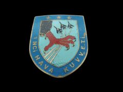 Türk Hava Kuvvetleri 1.Taktik Hava Kuvveti Metal ,İğneli Harici Brove