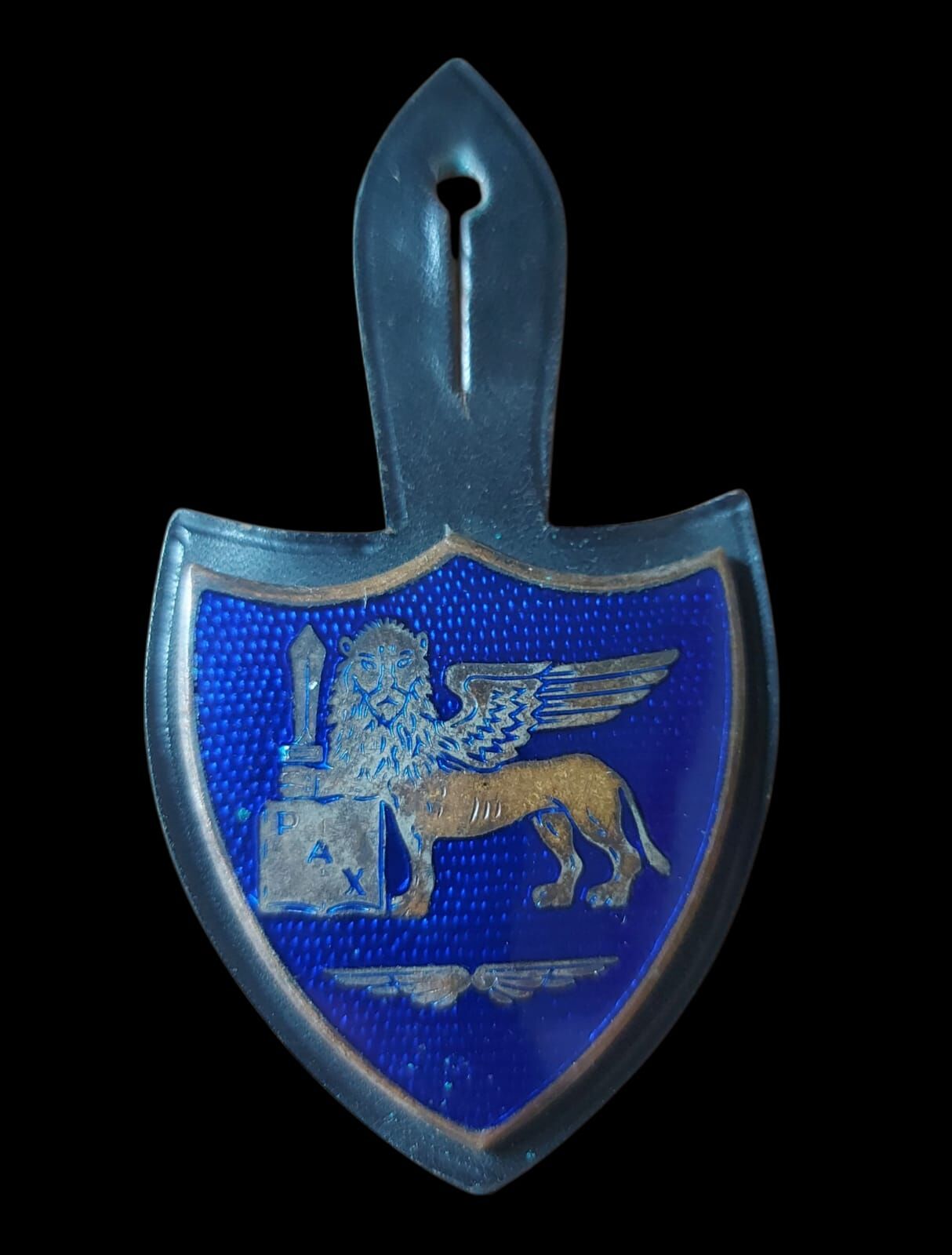Nato Müttefik Kanatlı Aslan Brove (Nadir-Mineli)
