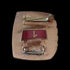 Doğu Alman (GDR) Ulusal Halk Ordusu Askeri Mineli Rozet