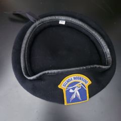 Amerikan Hava Kuvvetleri (Defensor Fortis) Bere Unisex (54 -xs numara)