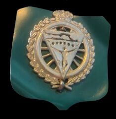 Norveç Kara Kuvvetleri Ordu Mühendis Bere (55 Numara)