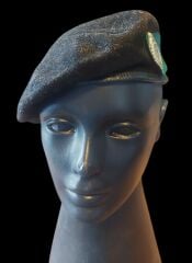 Norveç Kara Kuvvetleri Ordu Mühendis Bere (55 Numara)