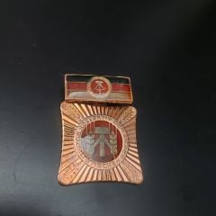 Doğu Alman Sosyalist Çalışma Madalyası