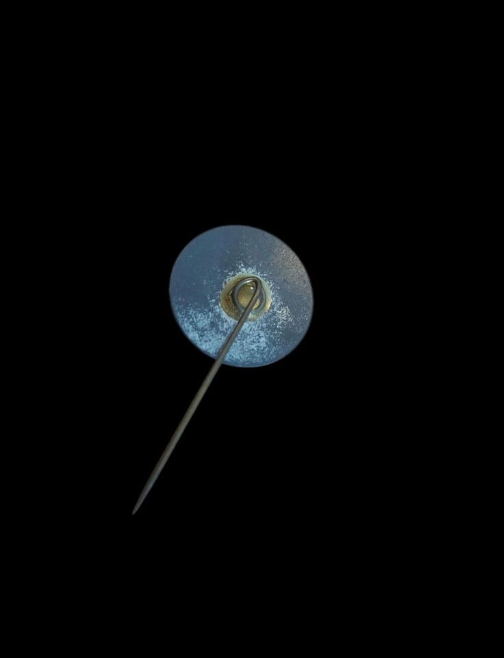 2 cm. Çap US Savaş Gemisi Arizona Rozet