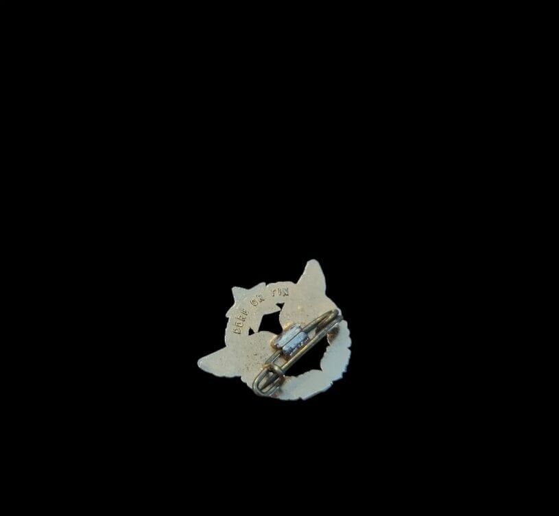 2x1.8 cm.  Türk Hava Kuvvetleri Eski Tip Askeri Yaka Rozeti