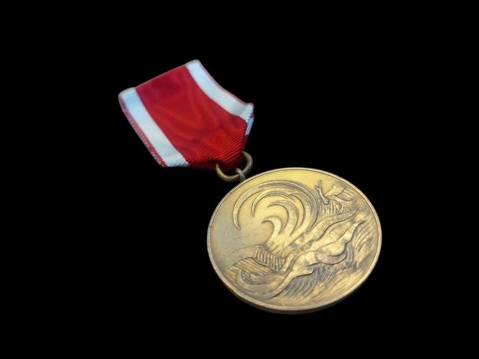 1962 Almanya Aşağı Saksonya Eyaleti Fırtına Gelgit Anı Madalyası