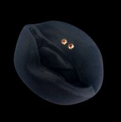 Military Fashion Siyah Bere-2 (M Beden) Unisex  Sıfır Ürün