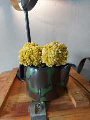 Kamuflaj Desenli Porselen Çiçeklik