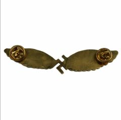 Alman Nazi Pilot Borvesi-1