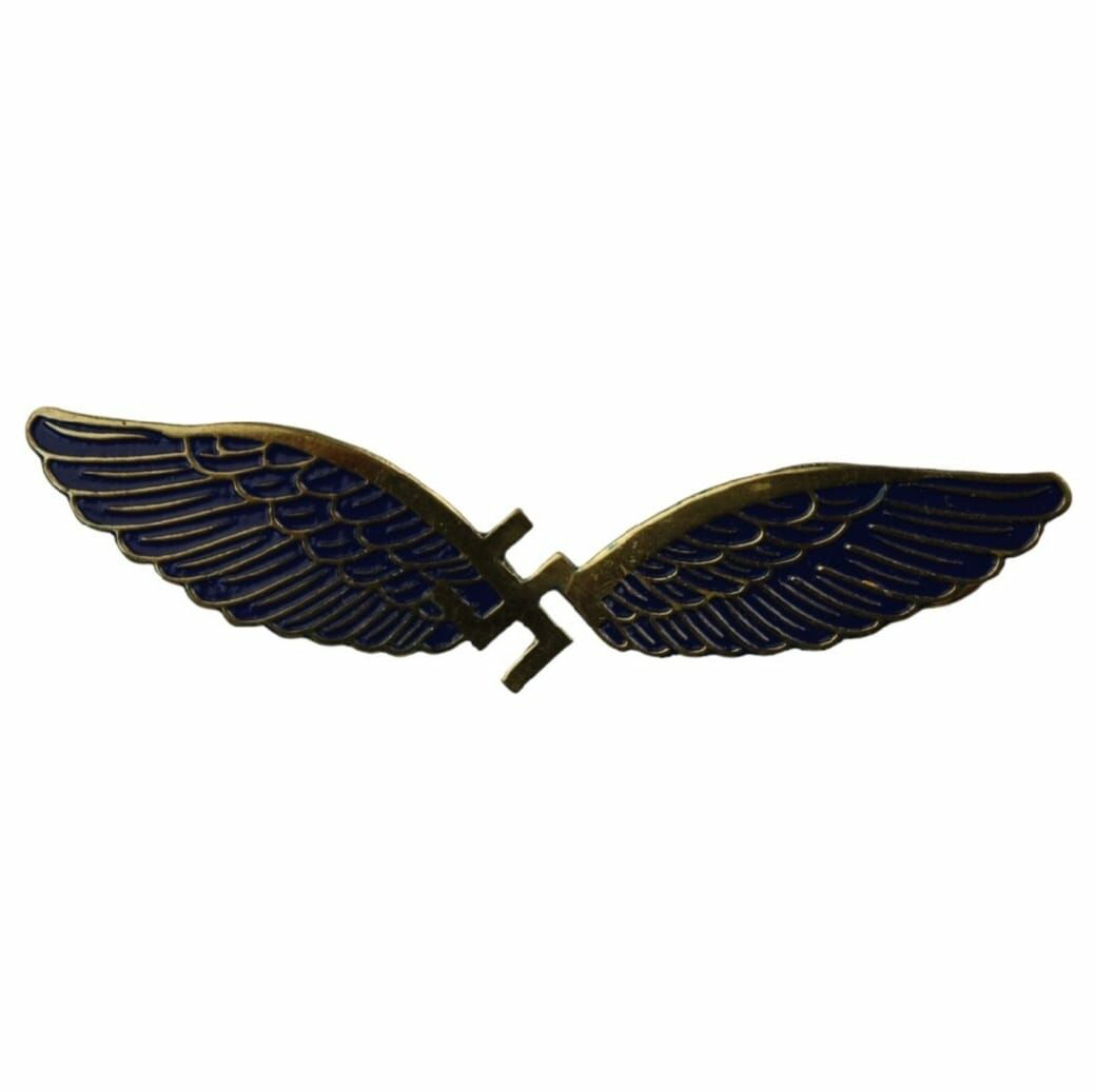 Alman Nazi Pilot Borvesi-1