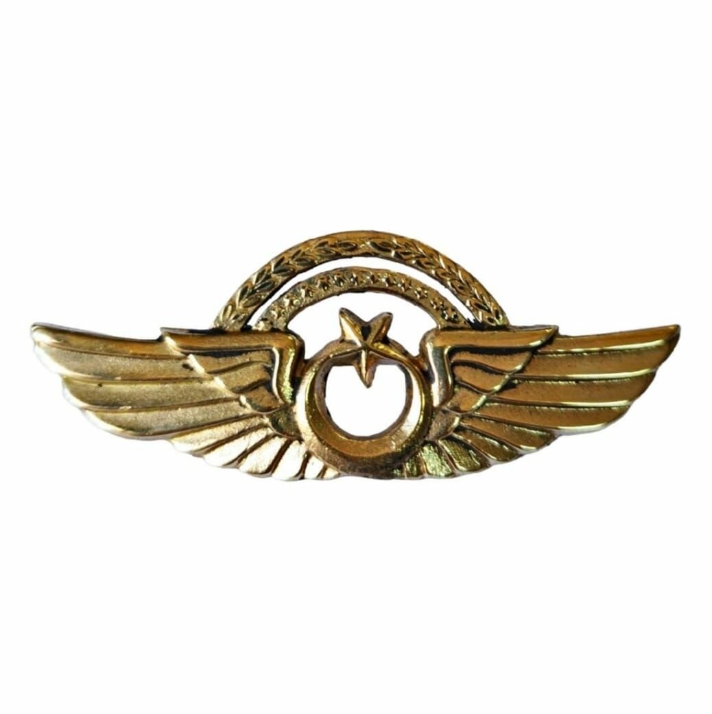 Hava Kuvvetleri Pilot Brovesi Nadir Model