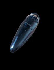 40 mm. Uçak Mühimmat Çekirdek