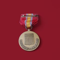 ABD Silahlı Kuvvetleri Ulusal Savunma Hizmeti Madalyası