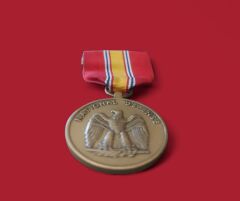 ABD Silahlı Kuvvetleri Ulusal Savunma Hizmeti Madalyası