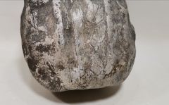 1.Dünya Savaşı Dönemi İngiliz Asker Matarası