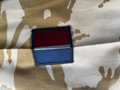 İngiltere Kraliyet Hava Kuvvetleri S95 Kamuflaj Ceket Unisex (M Beden)