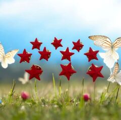 1.6 cm. Boy Kırmızı Renk Yıldız Broş Modeli