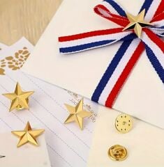 1.6 cm. Boy Altın Renk Yıldız Broş Modeli