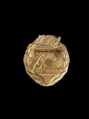 Alman Demokratik Cumhuriyeti  (GDR) Savaş Grubu Atış Rozeti